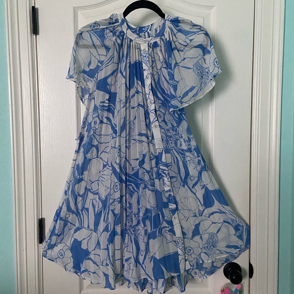 Anthropologie Blue and White Poppies Dress
